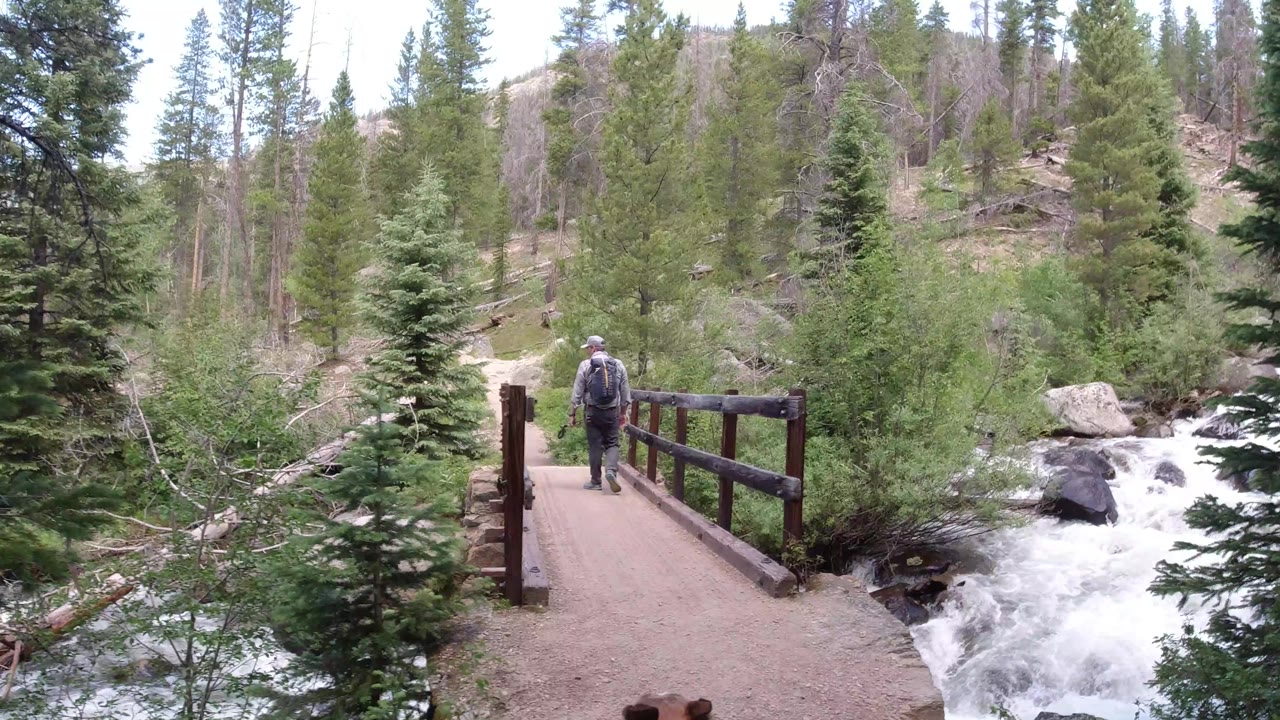 The hiker continues across the Winter Park, Colorado bridge as foaming creek water fills the right side and conifers line the background slope.