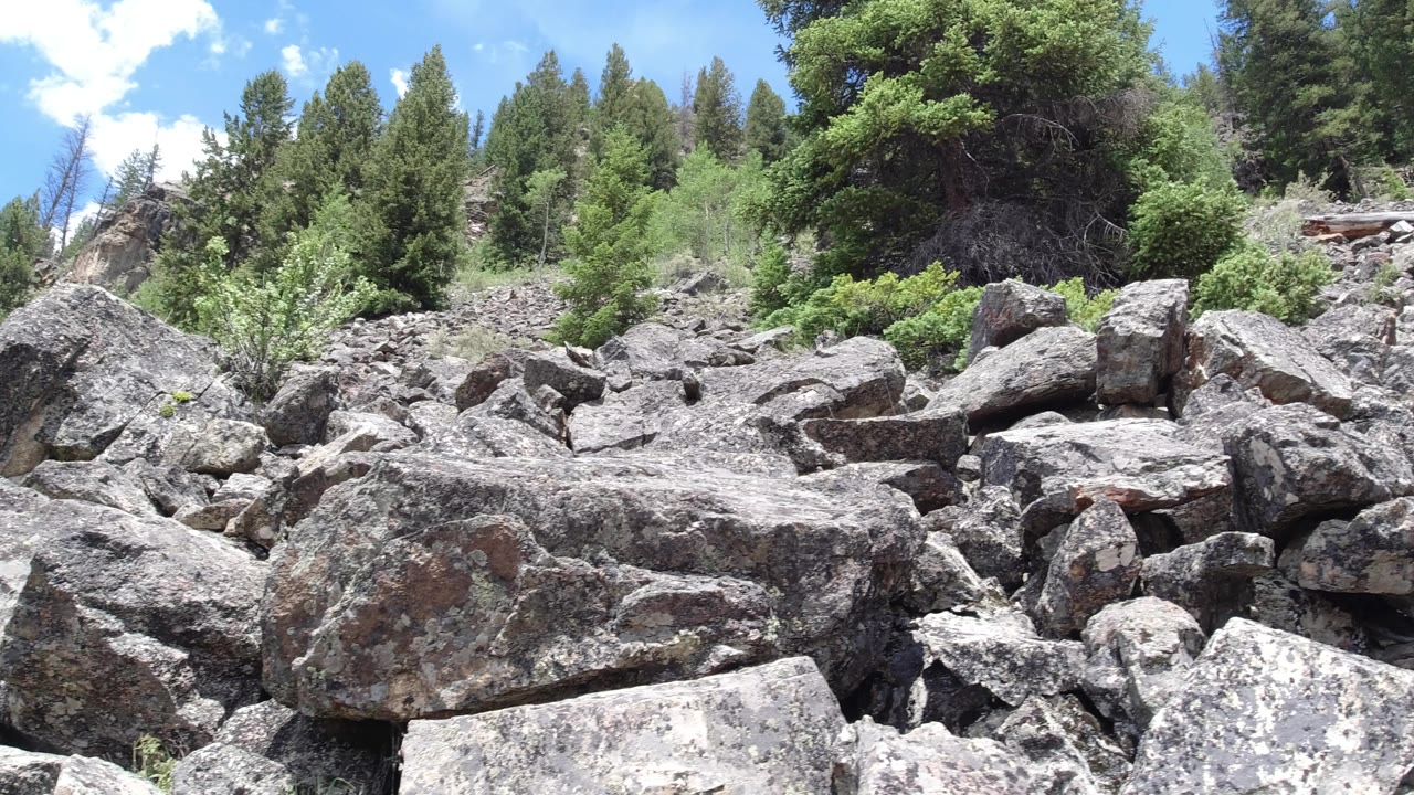 Rocky hillside with conifer trees under blue sky.