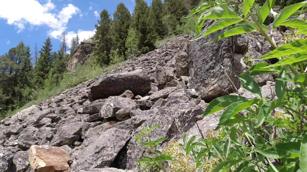Low rocky stream view in Winter Park, Colorado with large gray boulders, leafy green branches close to camera, conifers on the slope, blue sky, and no visible people.