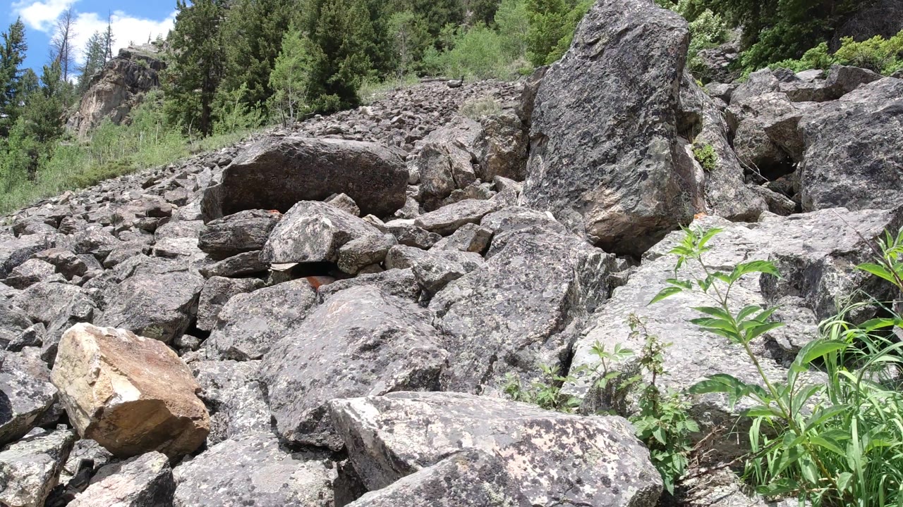 Close boulder field with shrubs and trees behind it.