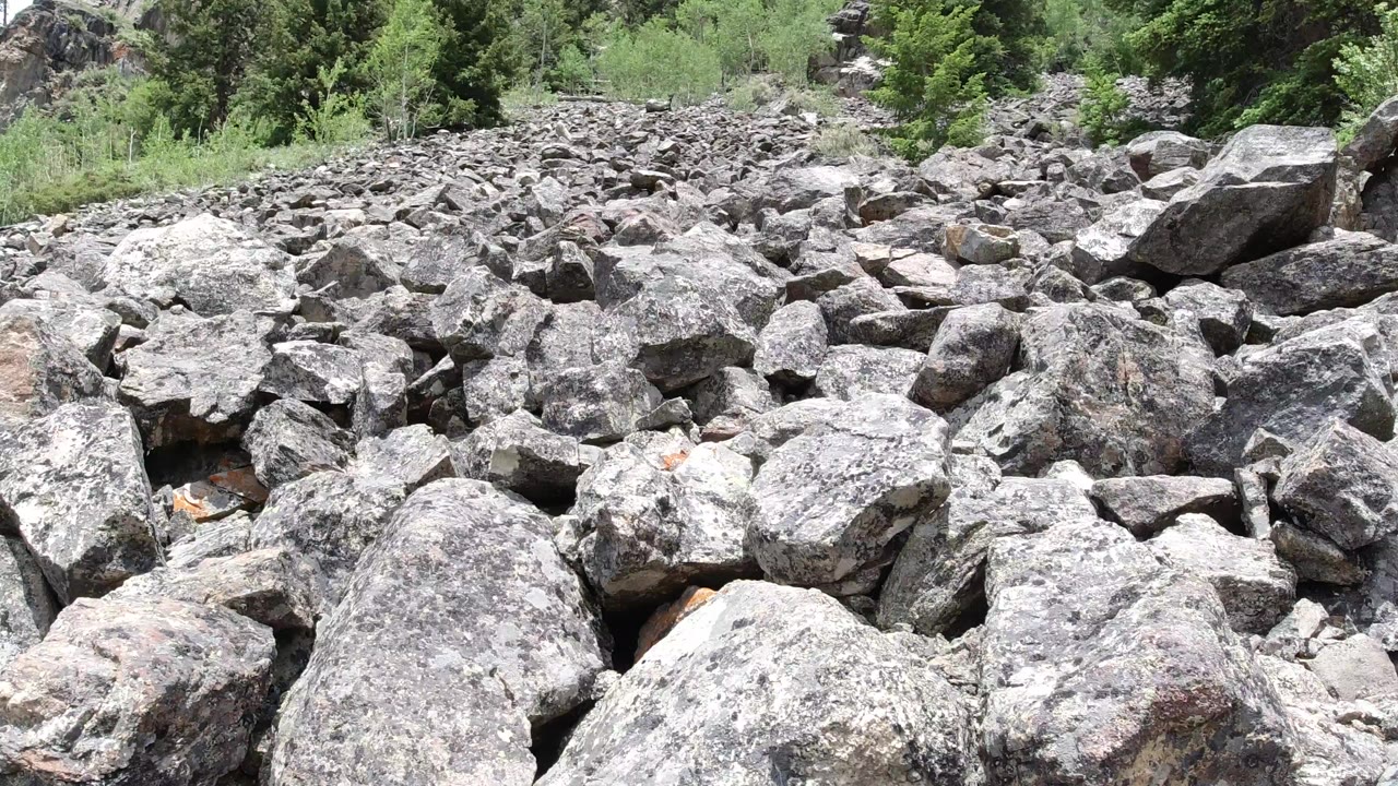 Close view of a Winter Park, Colorado boulder field, with angular gray rocks in hard sunlight, green shrubs and conifers above, and no visible people.