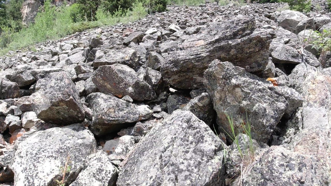 Sunlit boulder field with trees and brush in the background