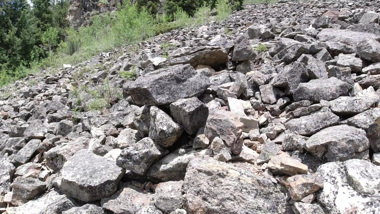 Rocky slope with boulders, small stones, shrubs, and trees.