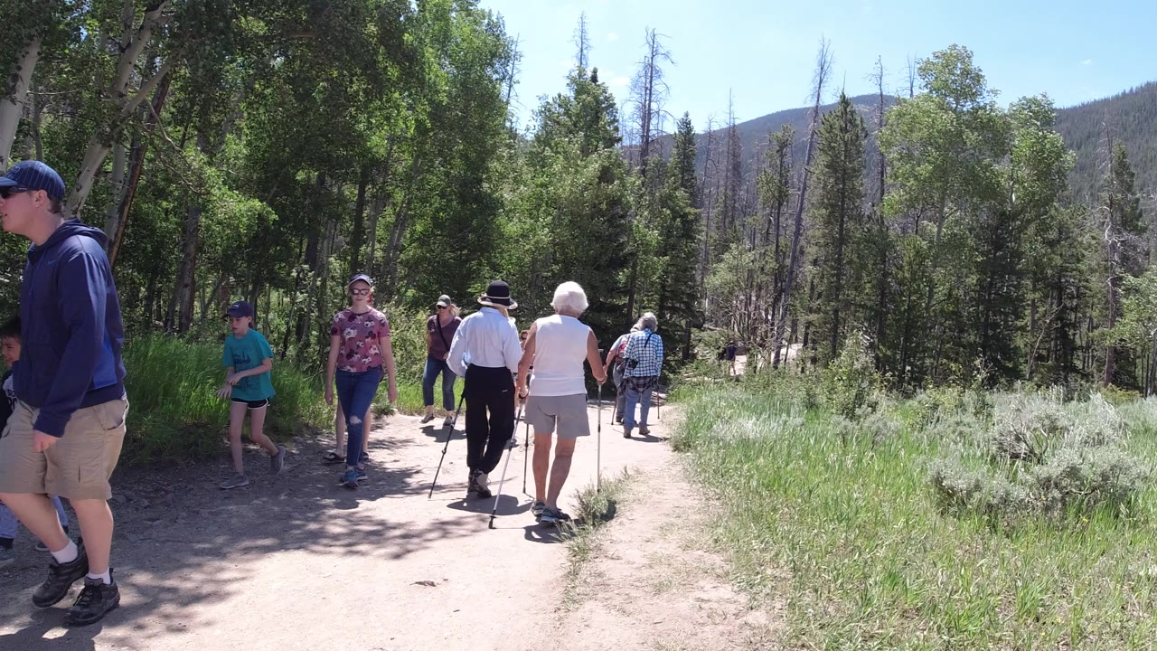 People walking on a dirt trail through tall trees