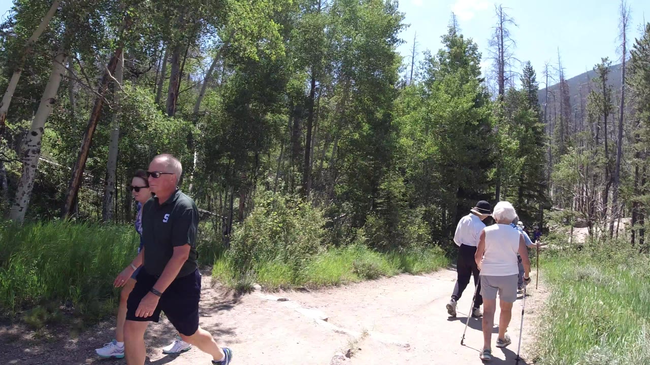 Hikers pass along a dirt forest trail with tall grass and trees.