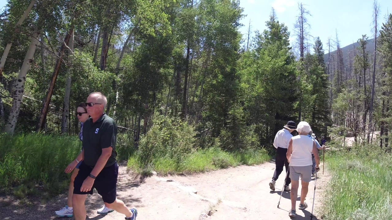 The hikers continue away from the camera on a pale trail in Winter Park, Colorado, framed by bright grass, dense shrubs, and tall forest.