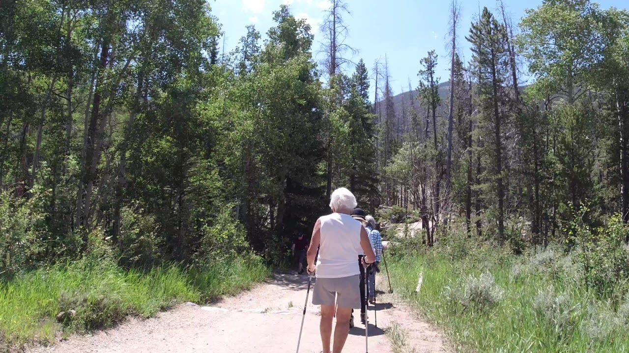 A white-haired hiker with trekking poles walks ahead on a bright Winter Park forest trail while another hiker continues farther down the path.