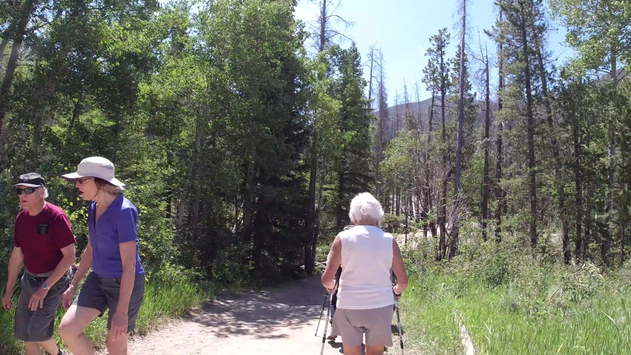 Elderly hikers at the edge of a sunny forest trail.