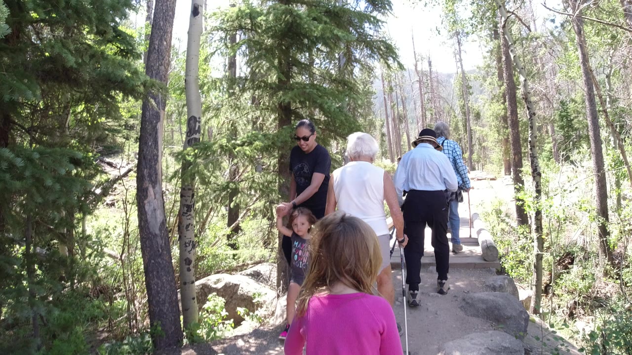 The group continues along the Winter Park boardwalk, with a child in a pink top in the foreground and adults walking ahead under bright forest light.