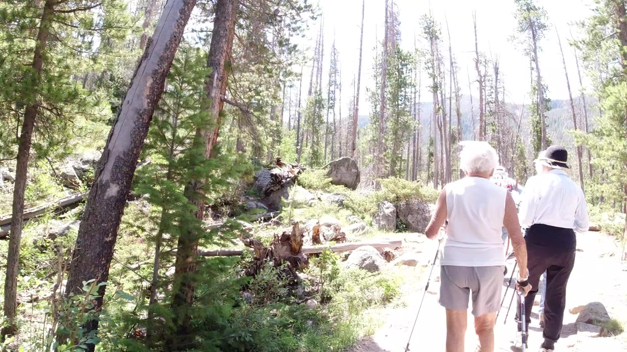 Two older adults walk away on a sunlit trail in Winter Park, Colorado, with hiking poles, rocks, downed wood, and tall trees around them.