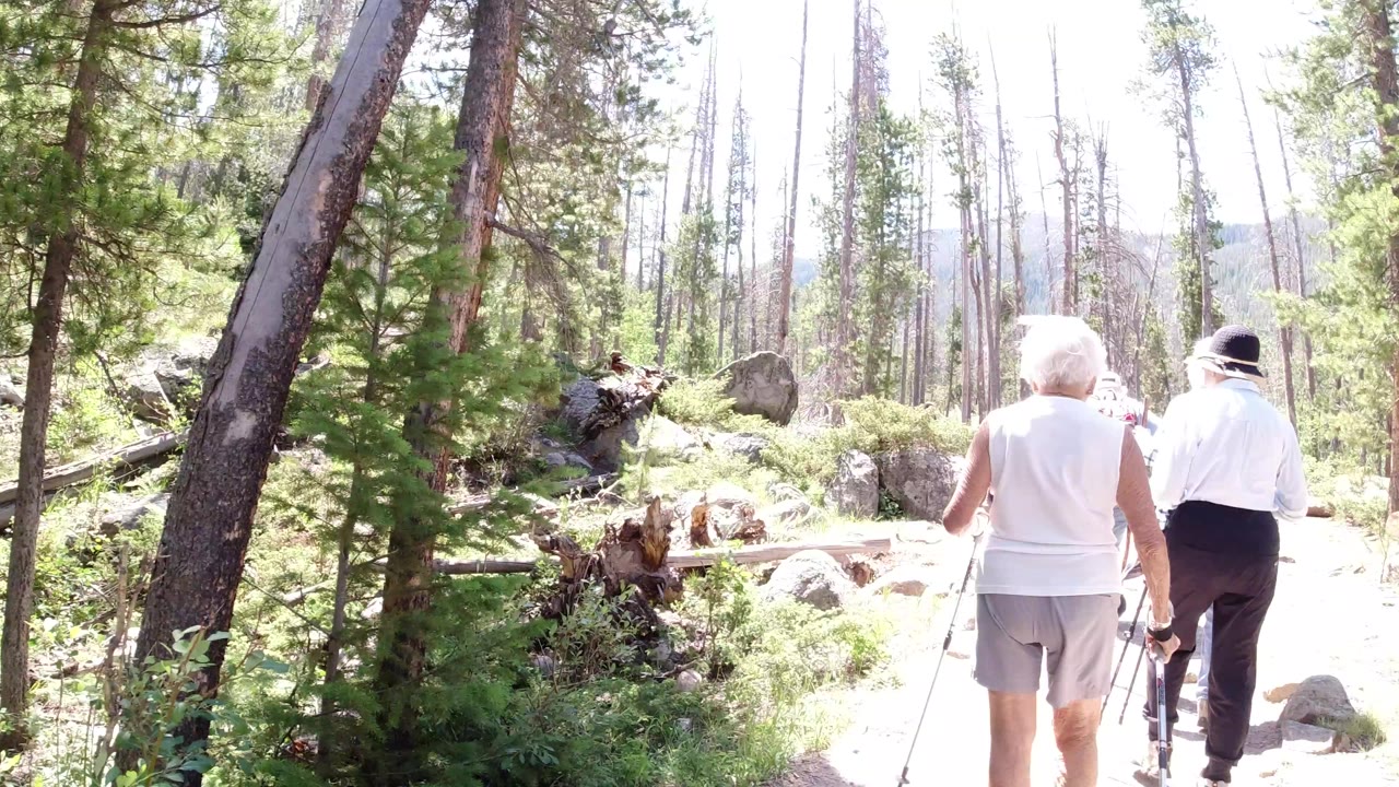 The older pair continues farther along the Winter Park, Colorado trail, framed by a leaning tree, boulders, low greenery, and bright midday light.