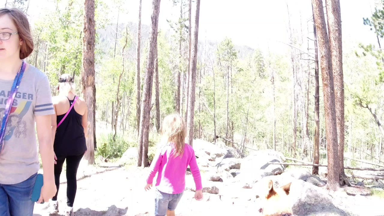 People walking on a bright forest trail with trees and rocks.