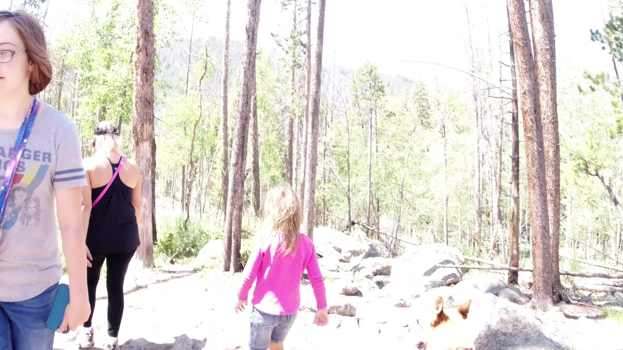 The group moves farther along the Winter Park forest path, with a child in a pink top ahead and adults partly framed near the trail edge.
