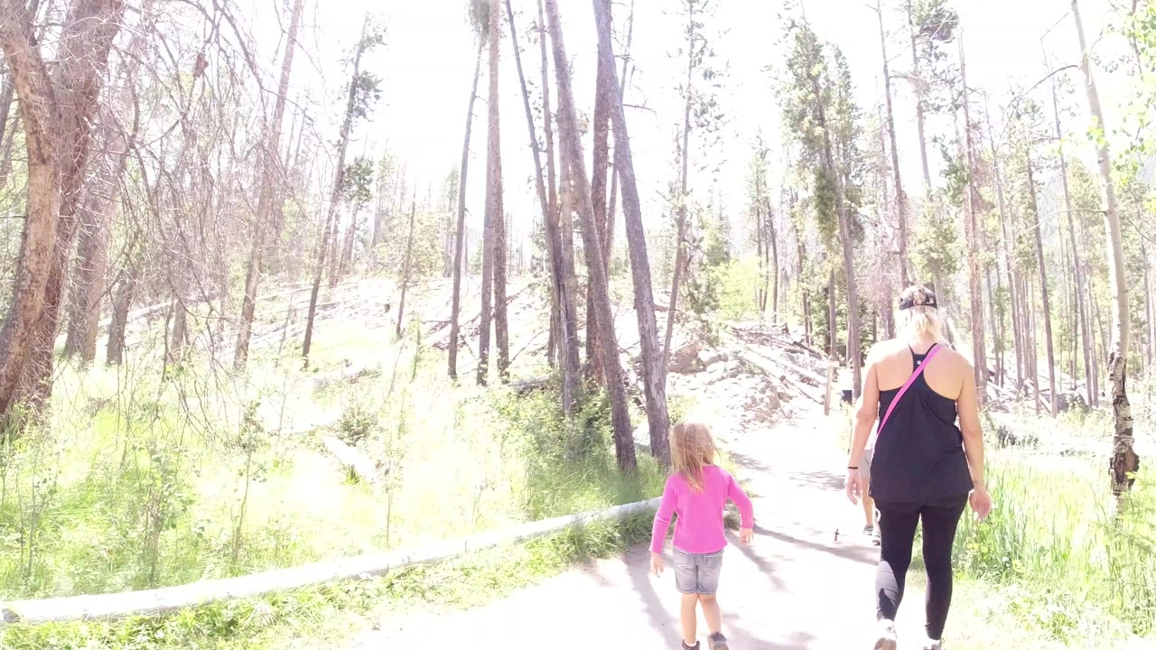 At 0:00 in Winter Park, Colorado, a little girl in a pink top and an adult woman walk away along a very bright forest path lined with grass and tall trees.