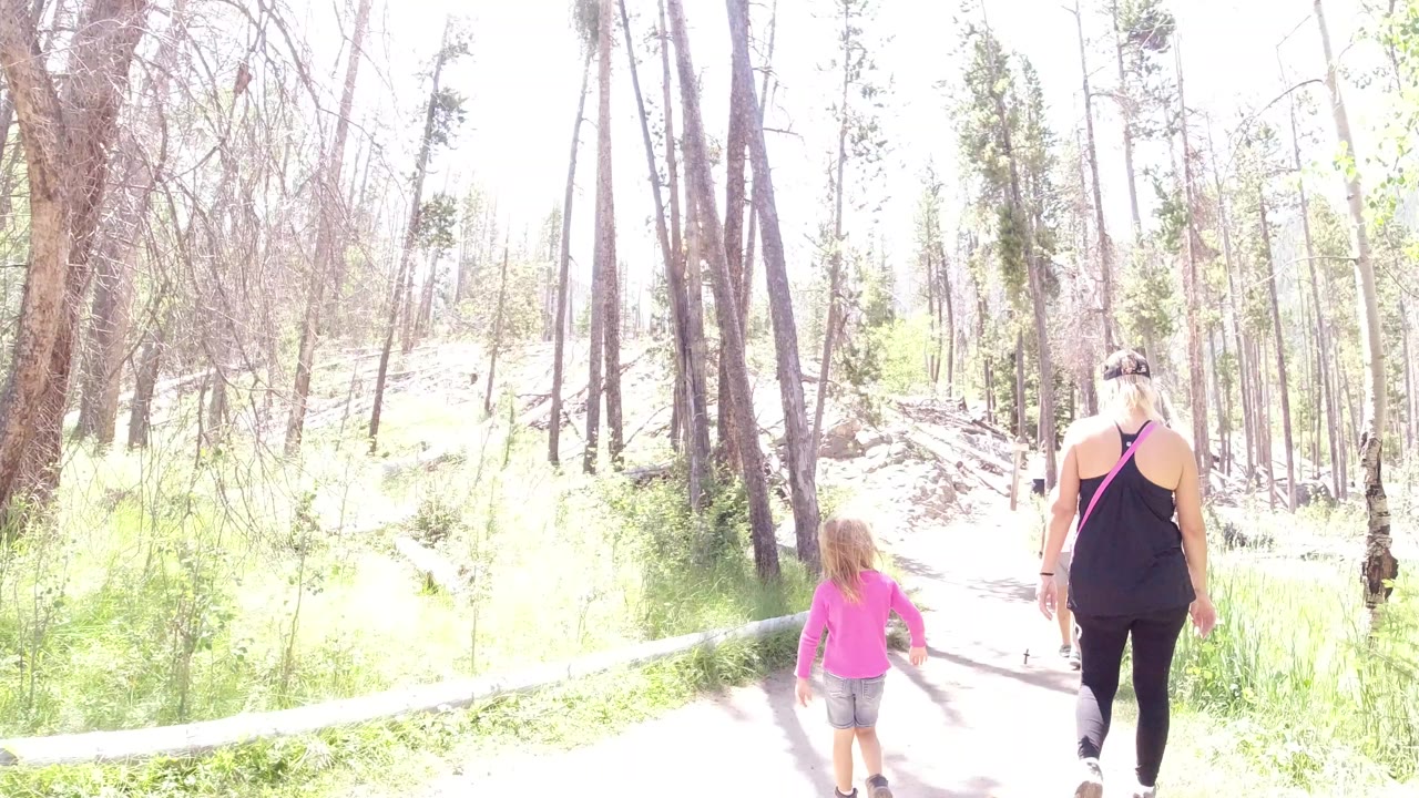 At 0:01 in Winter Park, Colorado, the child in pink and the adult in black continue ahead on the pale trail with tree trunks, low greenery, and blown-out sunlight around them.