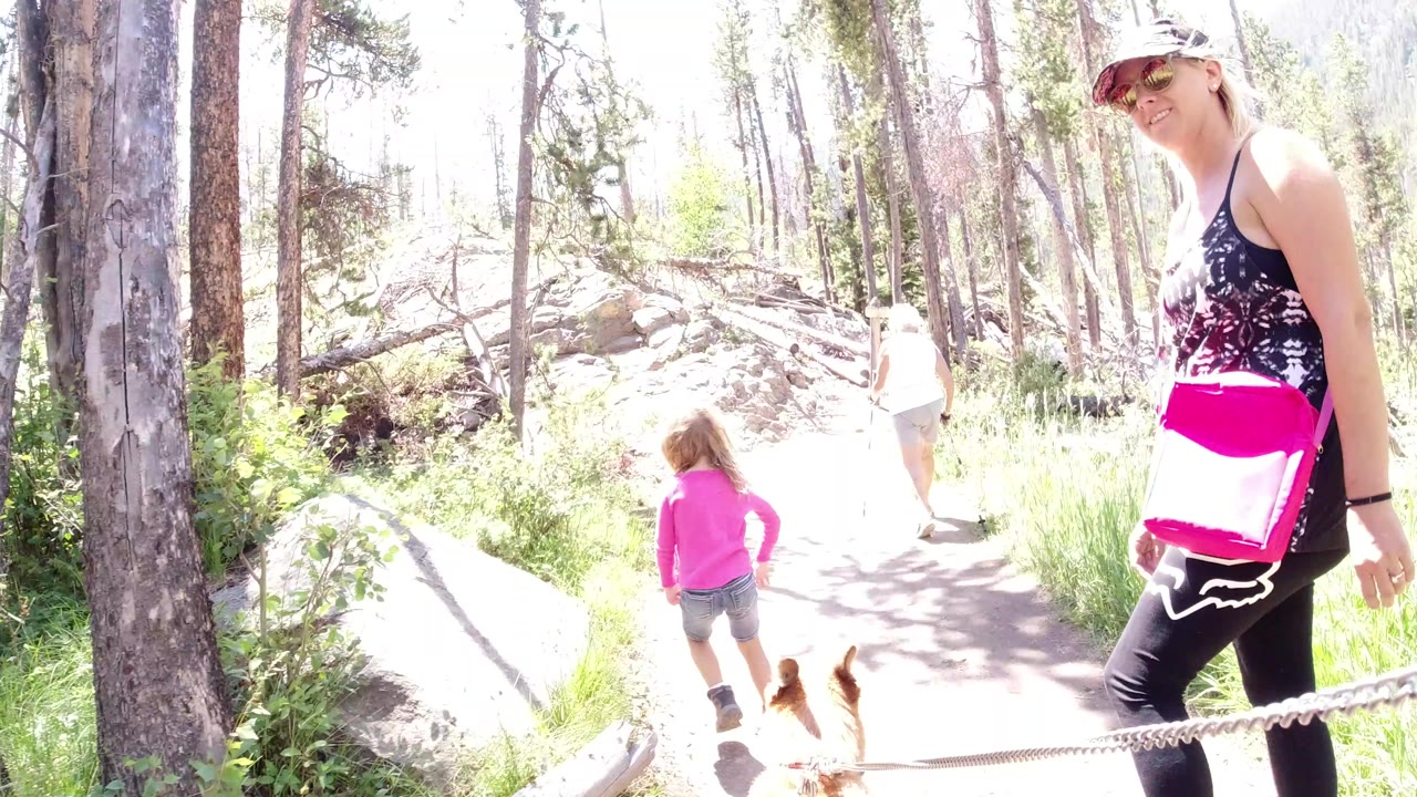 The child and leashed dog walk farther down the Winter Park forest path as the woman with the pink bag remains at the right edge of the frame.