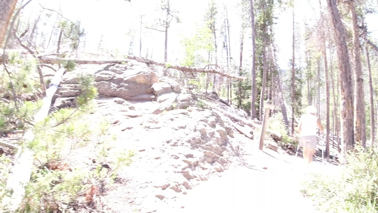 A bright, overexposed Winter Park, Colorado forest trail passes beside a rocky outcrop and tall pine trunks, with no visible people in this frame.