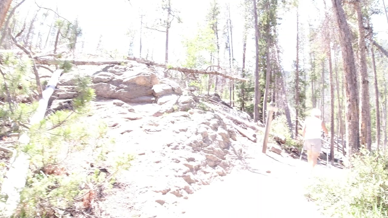 A person in light clothing appears far down the Winter Park, Colorado trail beside tall trees and a sunlit rock formation.