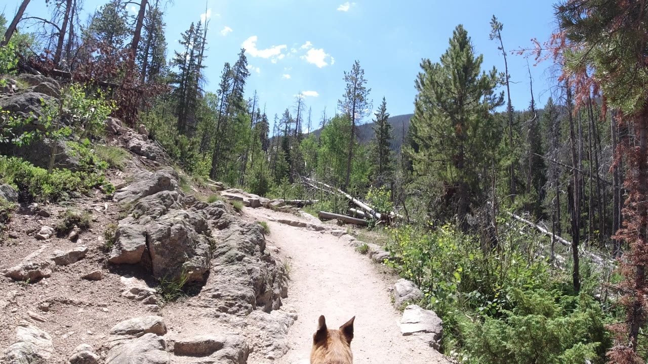 A Winter Park, Colorado trail curves through rocks and green brush under bright sky, with horse ears visible at the bottom and no visible people.