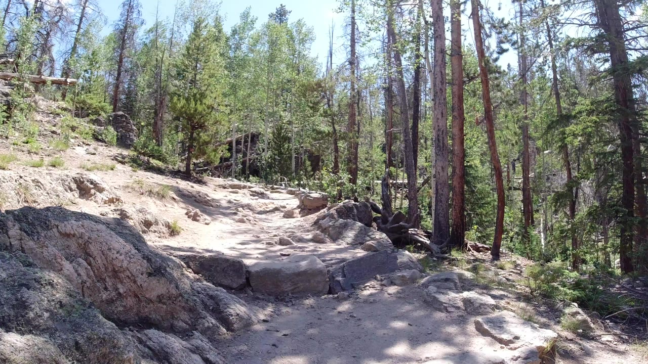 A rocky dirt footpath in Winter Park, Colorado passes between boulders, tree trunks, green brush, and patches of bright sun, with no visible people.
