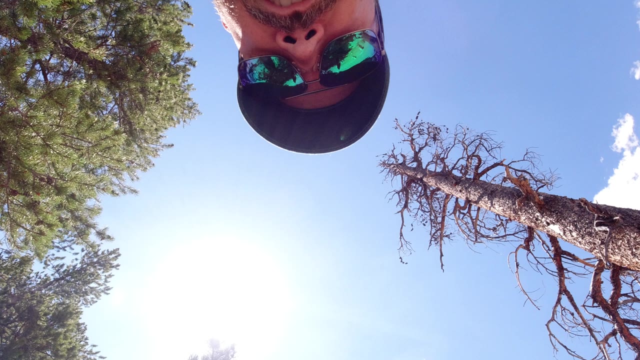 Upside-down close view of a man in sunglasses above trees and blue sky.