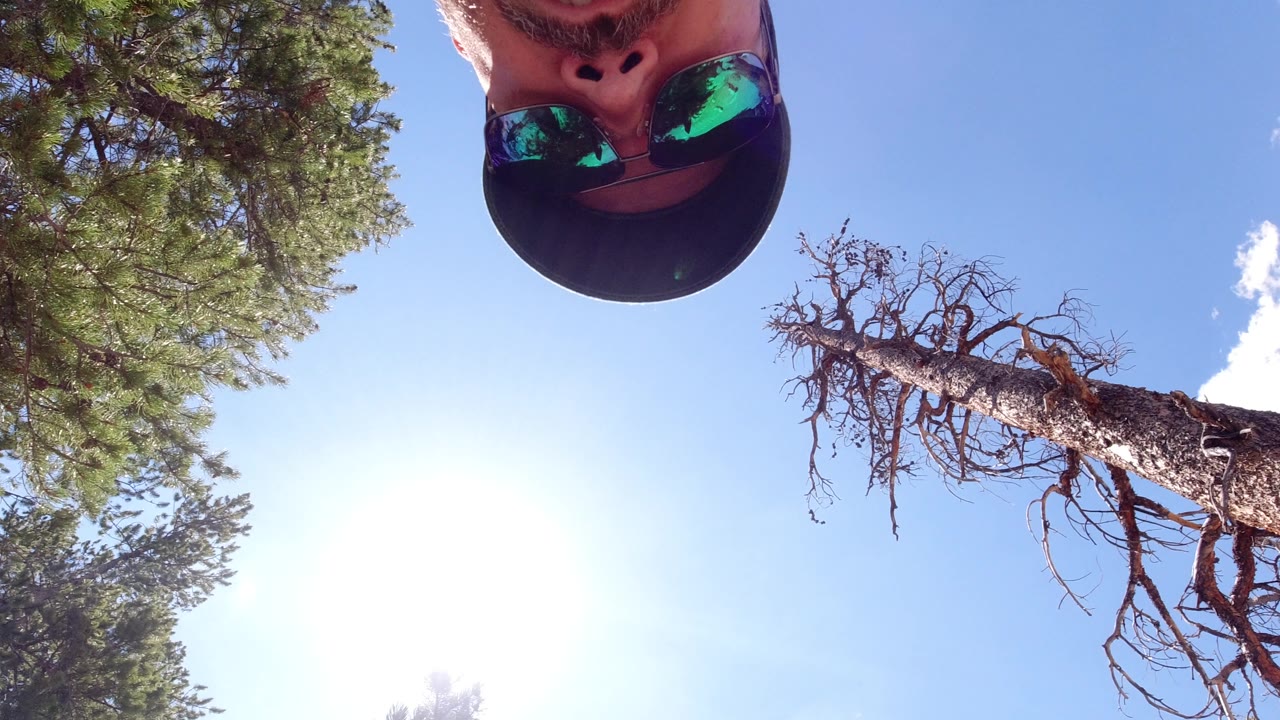 A second upside-down close frame keeps the man's sunglasses and cap near the top edge while pine trees, a dry trunk, blue sky, and bright sun fill the Winter Park, Colorado trail setting.
