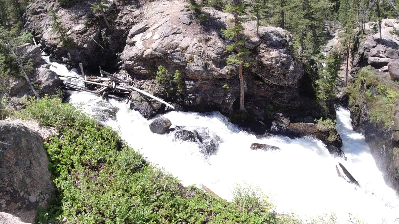 Rushing whitewater beside rocks and fallen logs in a forest gorge.