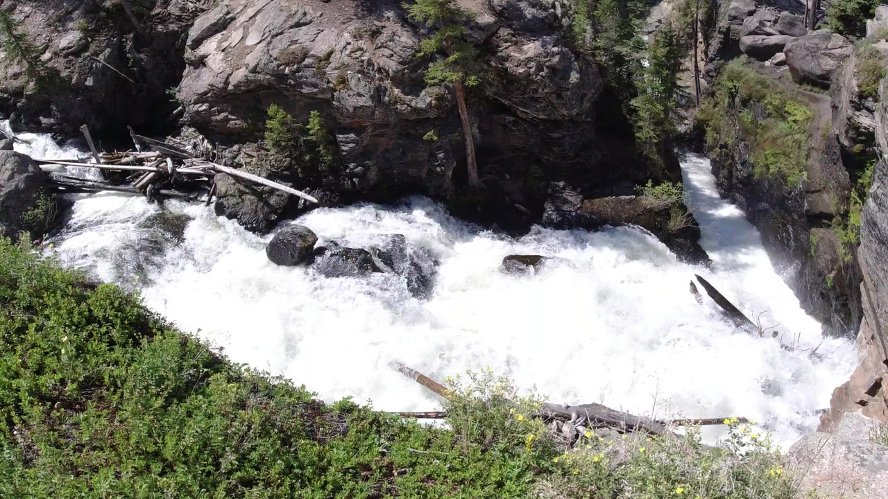 Rocky mountain rapids with fallen logs and green shrubs