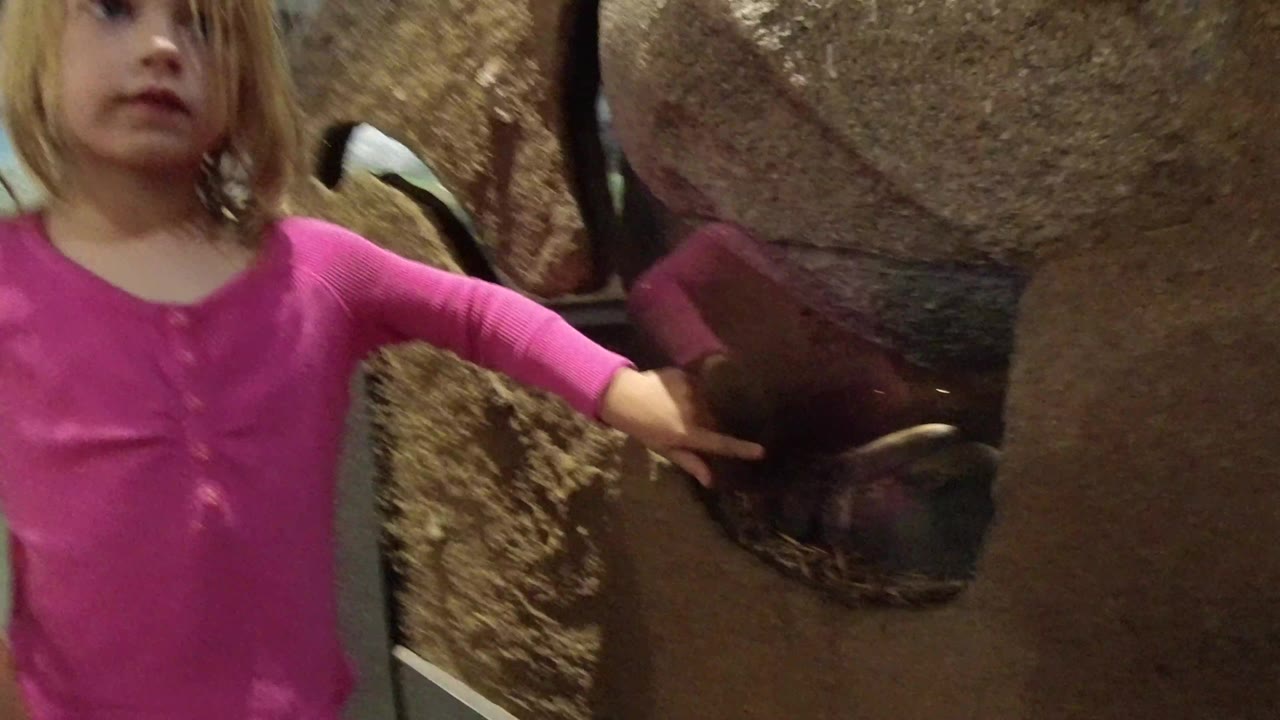 Girl reaches toward the reptile enclosure glass.
