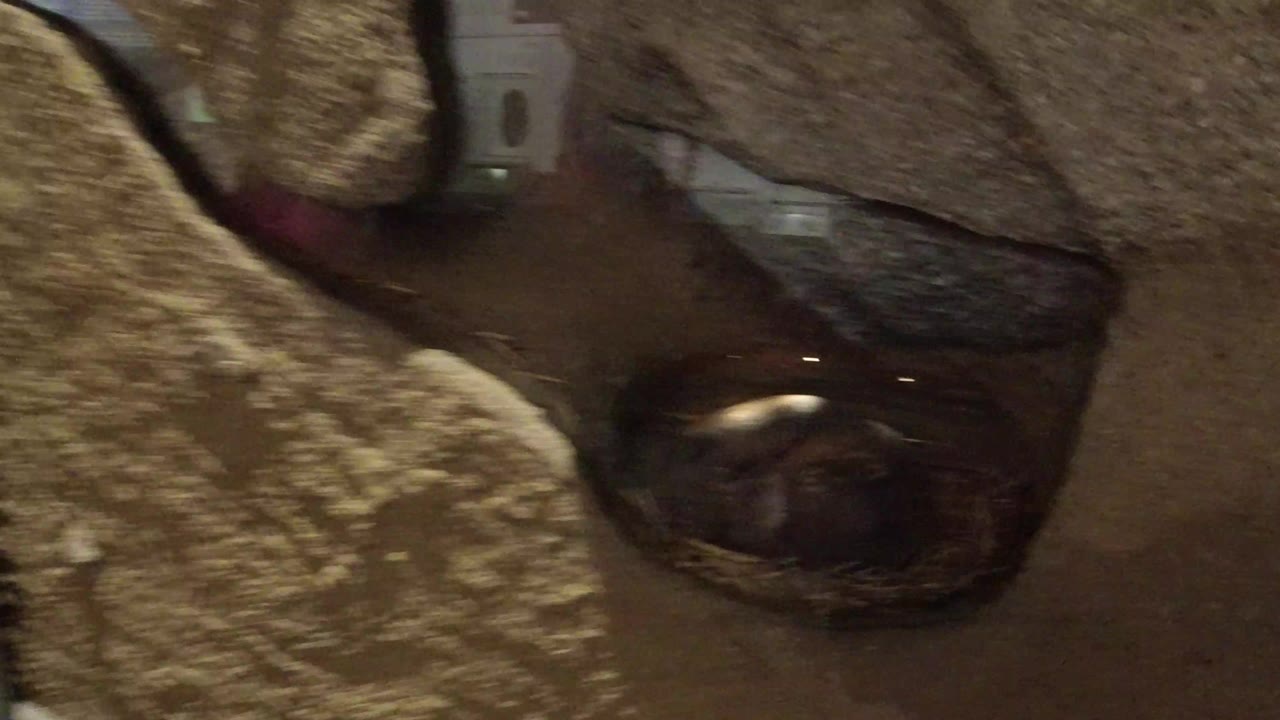 Close view of a rough stone exhibit surface beside a dark opening.