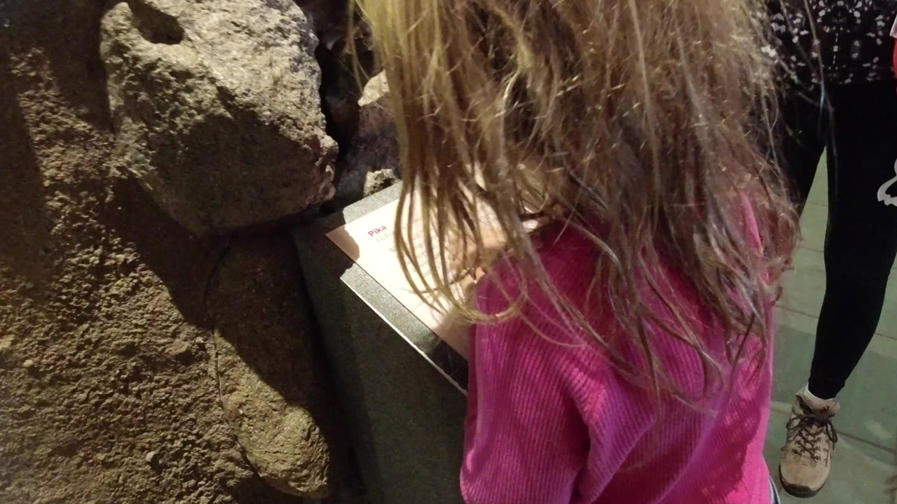 Blond child in pink beside rough rocks and an angled information panel.