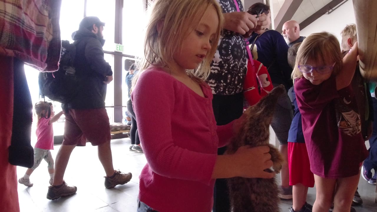 Young girl in a pink shirt holding a brown fur-like cloth near visitors indoors.