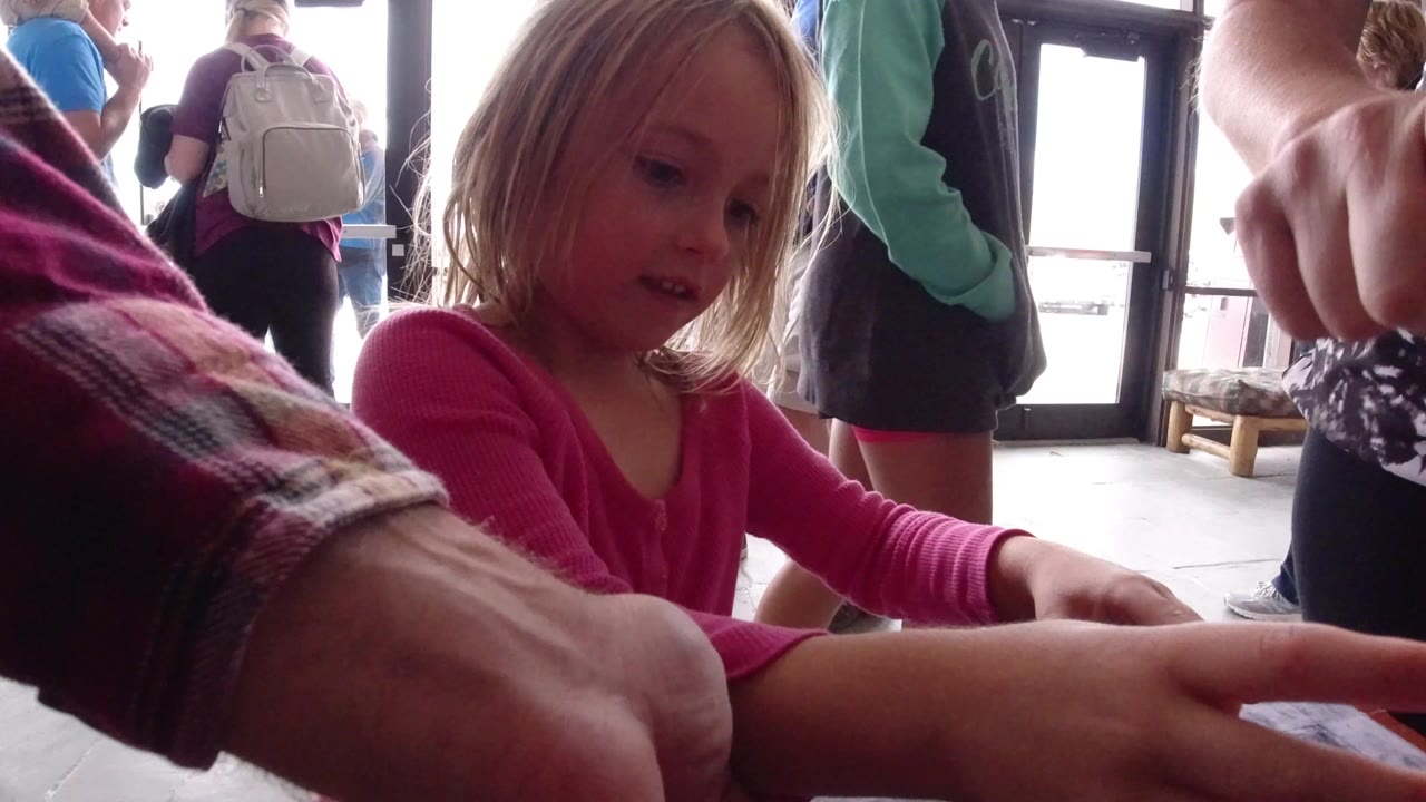 Blonde girl in a pink shirt watches an adult hand near a table.