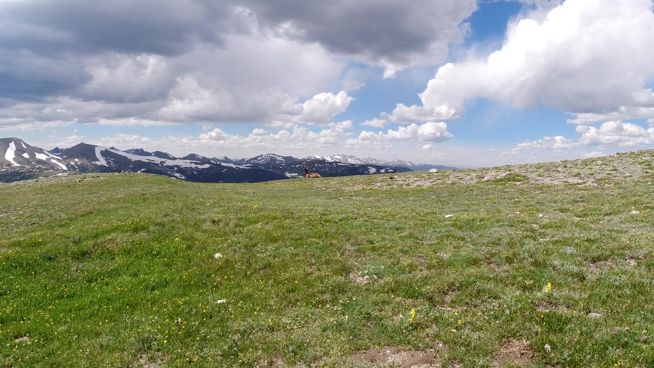 Open green hillside with snow-marked mountains beneath mixed clouds.