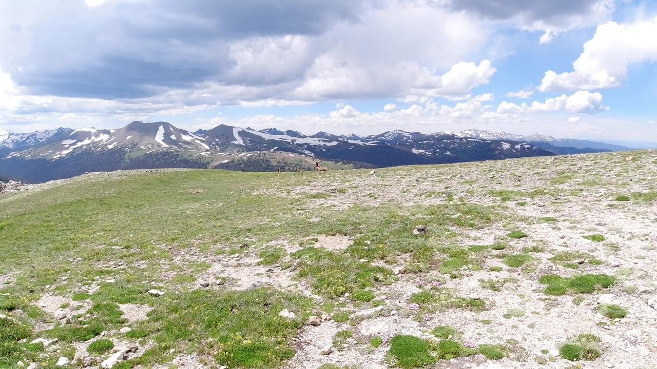 A slightly shifted Winter Park, Colorado overlook shows more pale rock and grass across the foreground, a dark mountain band in the distance, snow patches, and no visible people.