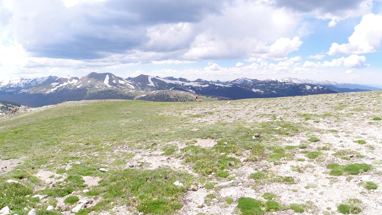 Open grassy ridge facing layered snowy mountains beneath bright clouds.