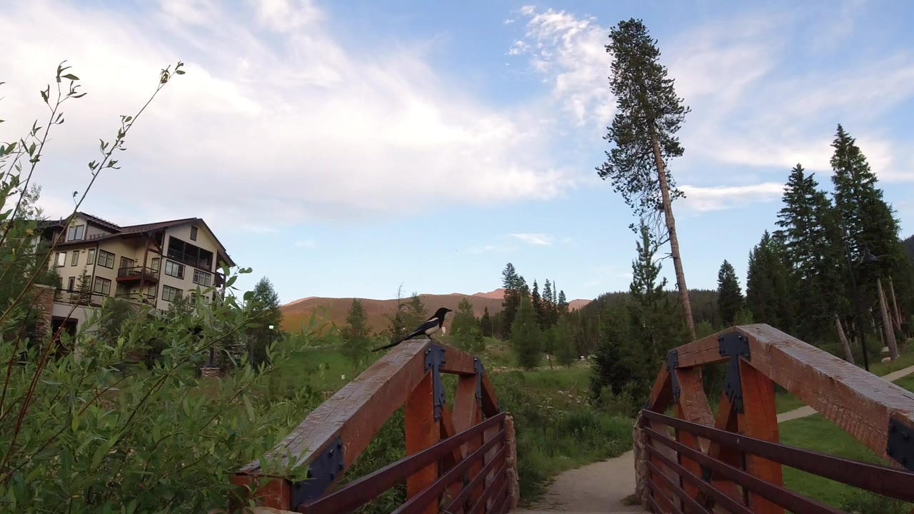 At 0:00 in Winter Park, Colorado, a small black and white bird sits on the reddish wooden bridge railing, with shrubs, a mountain home, evergreen trees, distant hills, and no visible people.