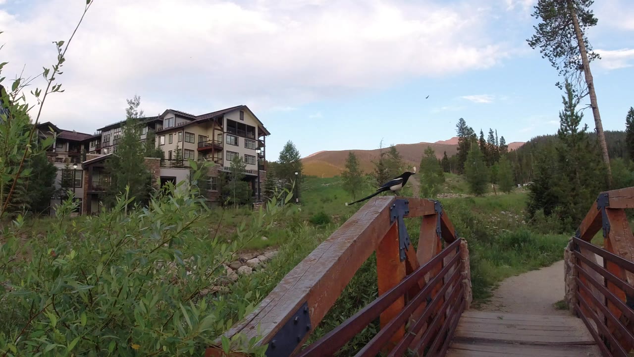 Wooden bridge leading toward lodge buildings and trees