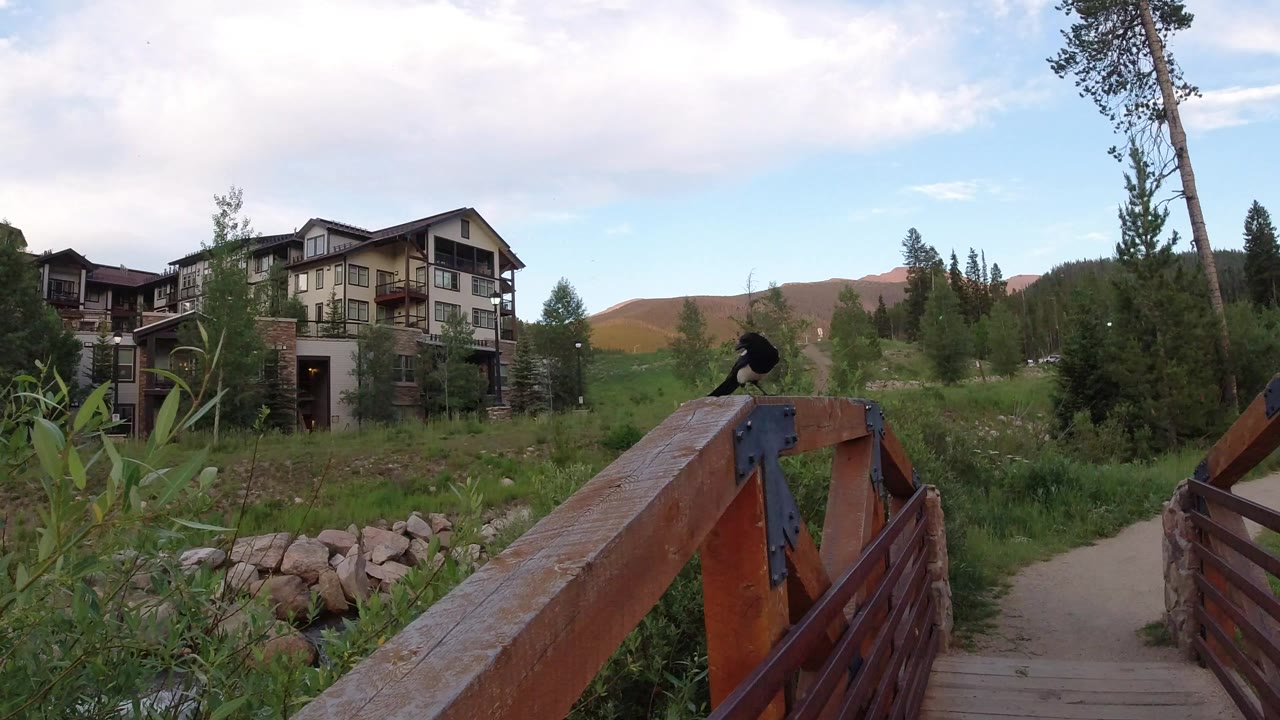 Winter Park, Colorado bridge view with timber railing in the foreground, lodge-style buildings to the left, green vegetation, pine trees, distant hills, and no visible people.