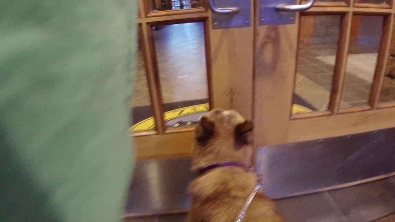 A tan dog on a leash faces wood-framed glass doors at a hotel entrance in Winter Park, Colorado, with no visible people.