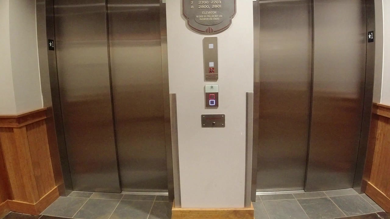 Elevator doors and call buttons in a clean interior hallway.