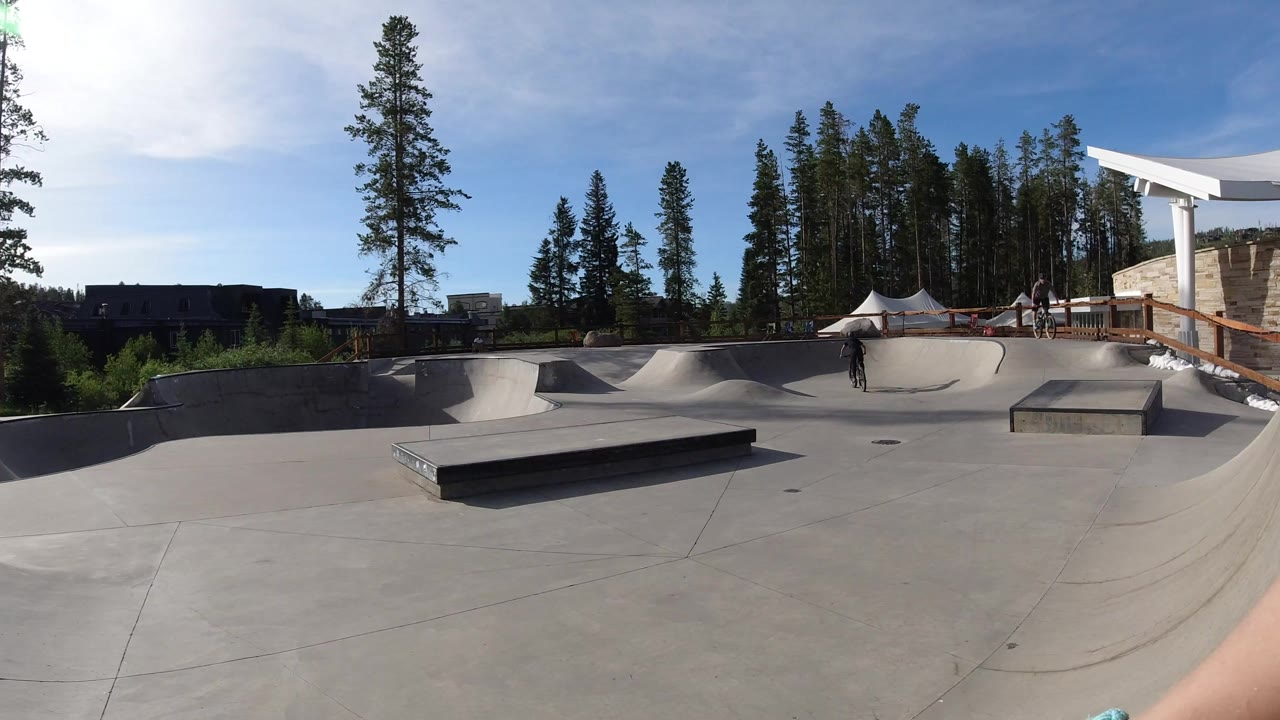 Wide concrete bike park with a child on a bicycle near ramps and pine trees.