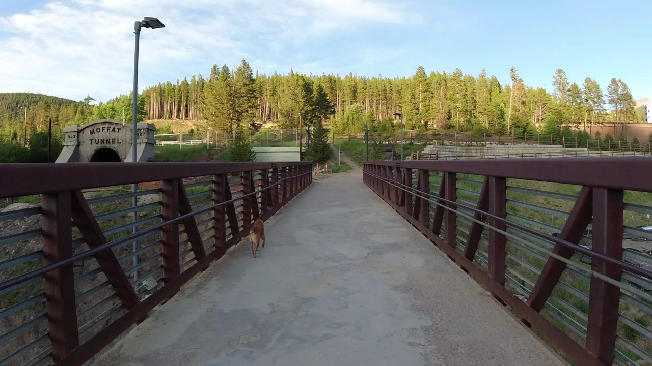 Start of a Winter Park, Colorado bridge view with red metal railings, a small dog near the left side of the walkway, tracks below, trees beyond, and no visible people.