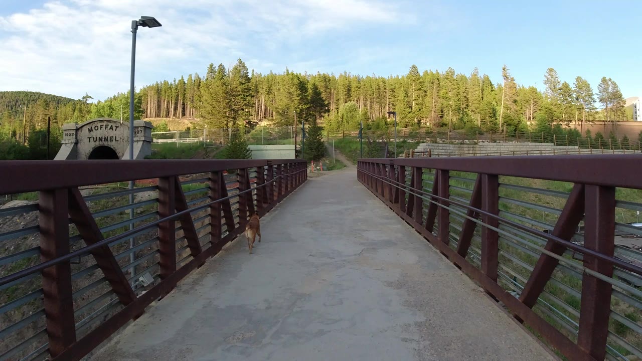 Winter Park, Colorado bridge frame with the small dog farther along the walkway, the stone tunnel entrance visible at left, rail tracks below, and no visible people.