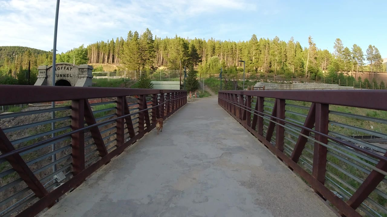 A Winter Park, Colorado bridge composition with red railings across the foreground, a small dog on the right side of the walkway, the tunnel portal at left, and no visible people.