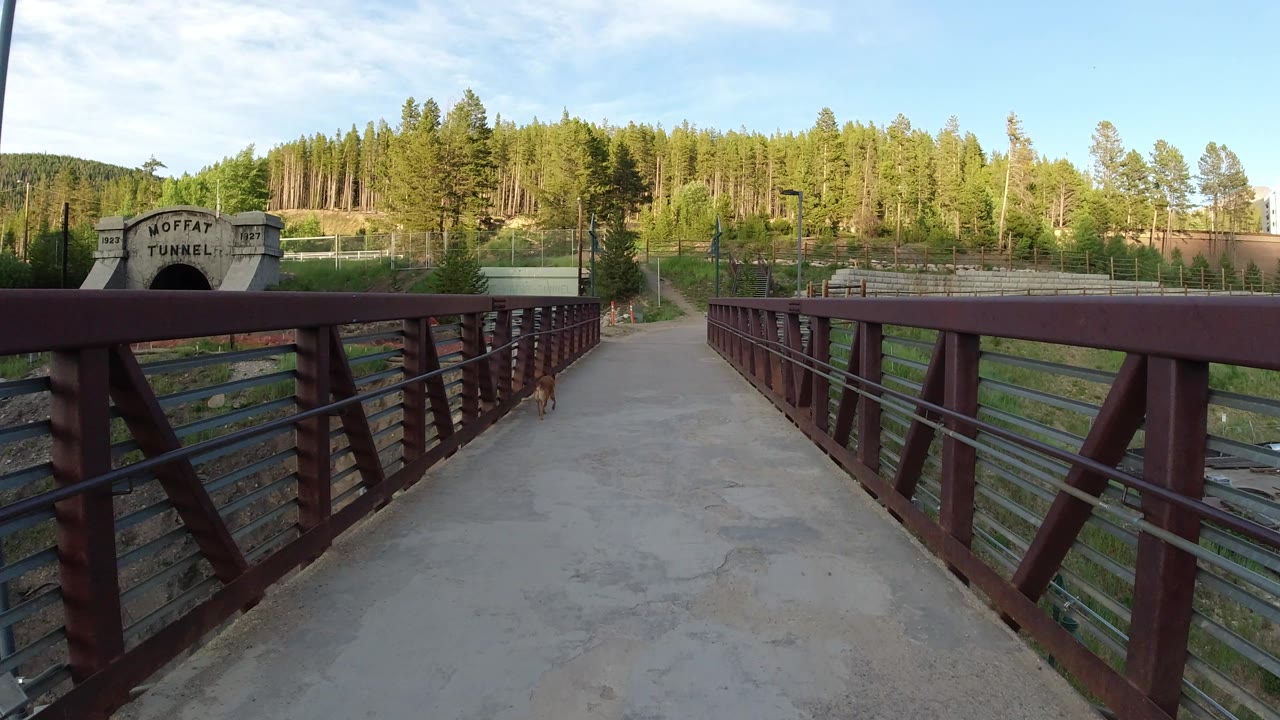 Concrete bridge path with red railings, small dog, tunnel portal, and trees.
