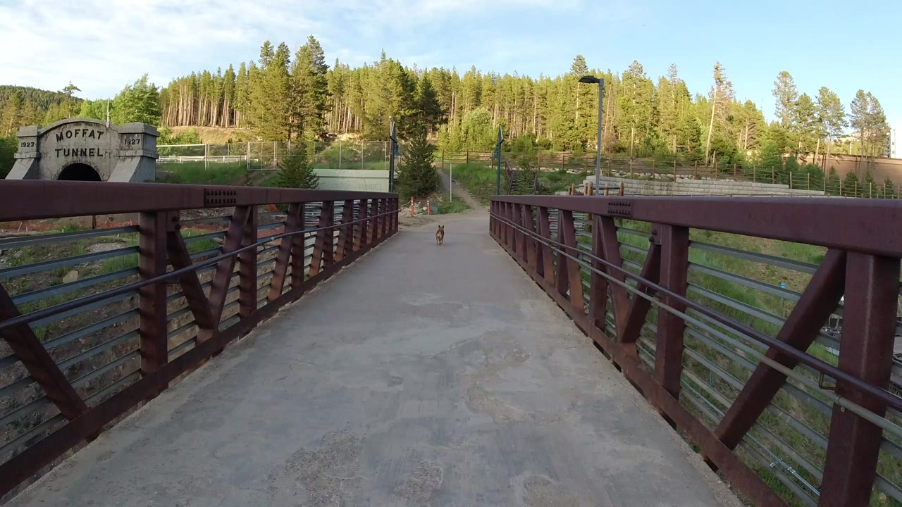 Bridge walkway with red railings, forested hillside, tracks, tunnel sign, and small dog