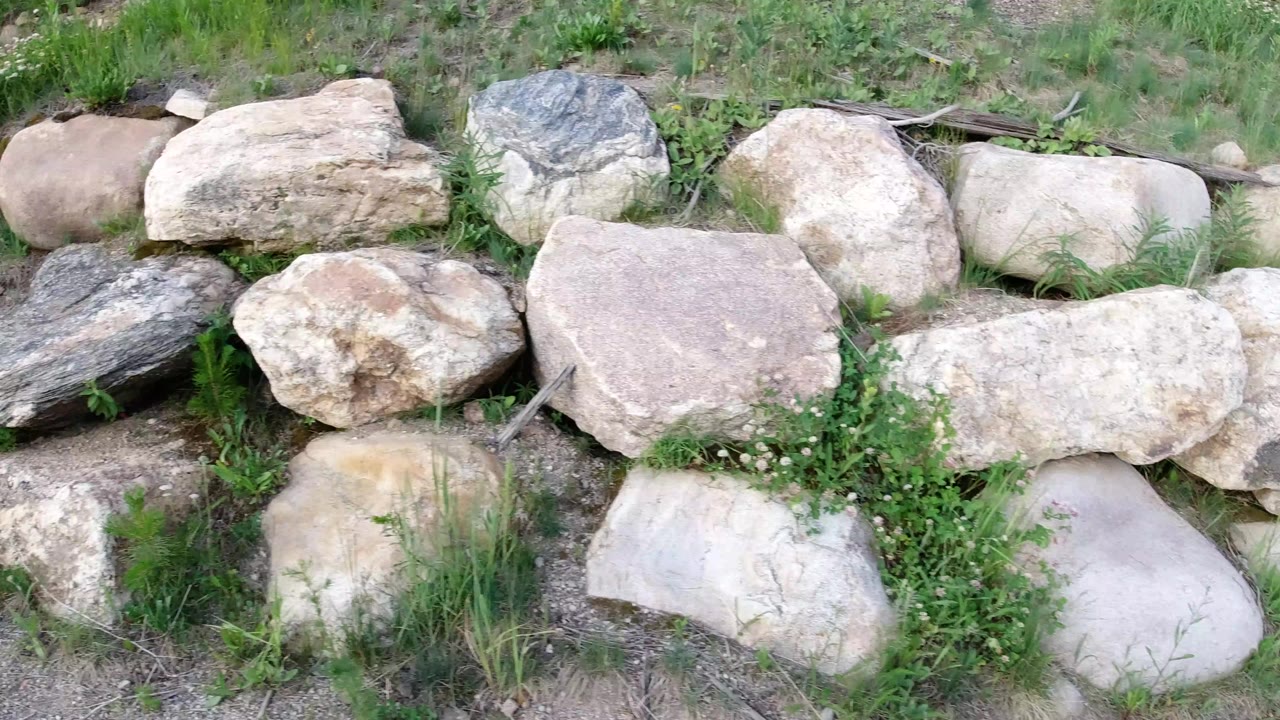 Boulders and grasses on rocky ground