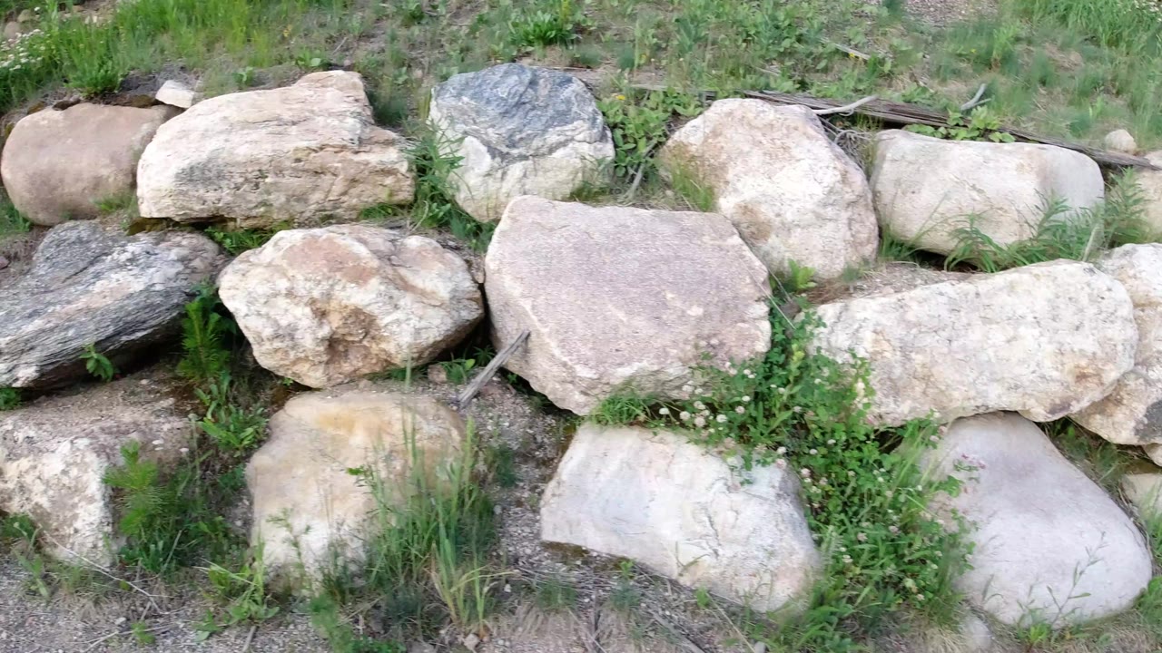 A close ground-level view in Winter Park, Colorado shows varied pale stones, a dark gray rock, dirt patches, and green weeds, with no visible people.