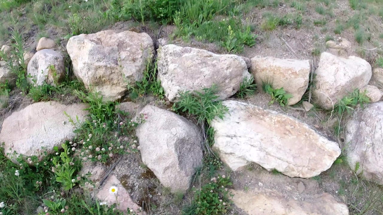 Close view of pale gray and tan rocks set into dirt and green grass in Winter Park, Colorado, with small wildflowers and no visible people.
